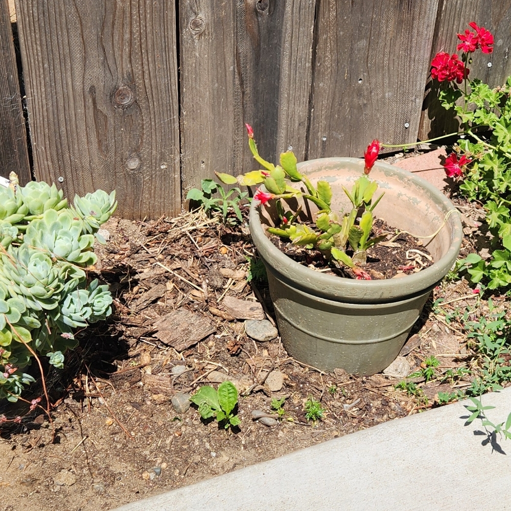 Meet your Posher, Teresa